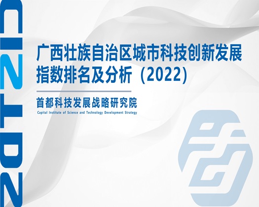 逼逼爽操视频【成果发布】广西壮族自治区城市科技创新发展指数排名及分析（2022）